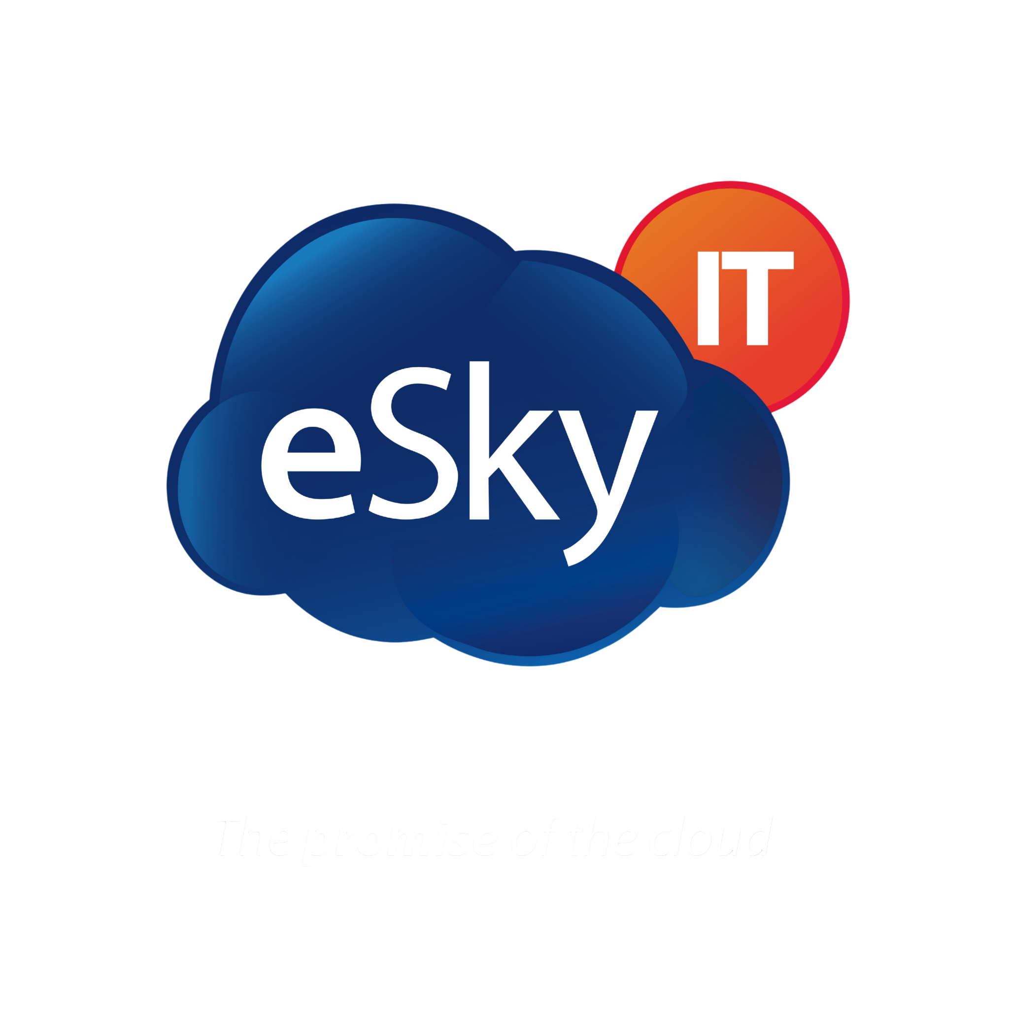 eSkyIT Logo